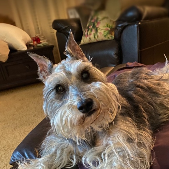 Meet your Posher, MaryJo - Picture 13 of 16